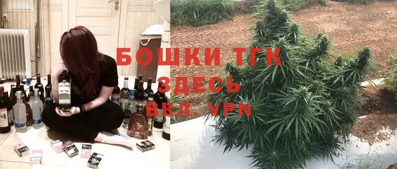 закладка  Кингисепп  Бошки Шишки сатива 